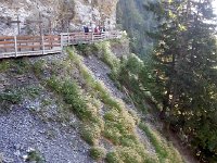 20160925 131646  Lovely grasses: they look familiar