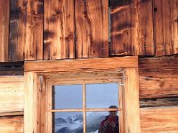 IMG-20170910-WA0002  flowers still blooming