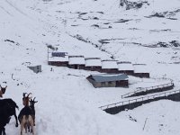 IMG 5525  all in  a line