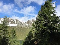 IMG 1647  brightening day