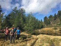 IMG 1651  in the woods