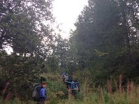 IMG 5535  wet trail: always go last!