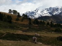 20170912 123447  looking ahead