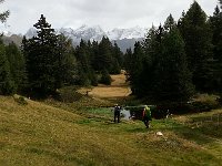 20170912 131117  pond in the forest