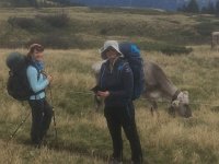 IMG 2262  the main group behind us meeting the same cows