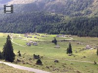 IMG 5588  cows and bells in Ticino