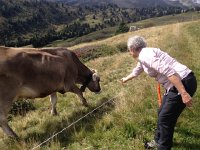 IMG 5598  making friends