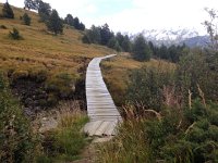 IMG 5604  boardwalk across a huge spring area