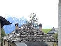 IMG 5614  a great roof!