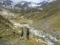 IMG 4022  still more to go