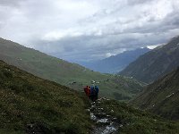 IMG 3188  entering the Cow Zone...