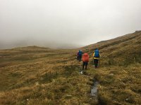 IMG 3904  could be the UK!