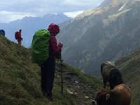 IMG 3905  they used OUR trail...