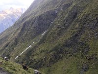 IMG 3918  and made quite a mess of it!