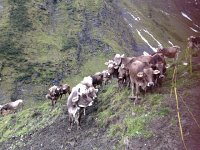 IMG 5652  These ladies are already to leave here