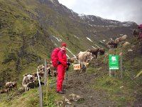 IMG 5653  if they could only get through this gate guarded by Kate the Red
