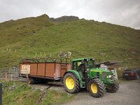 IMG 5657  the bus for the cows