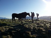 20170915 082907  we befriended some equids