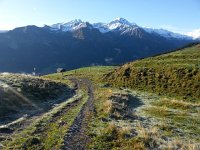 20170915 082920  frost on the grass
