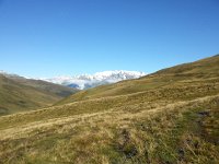 20170915 093050  huge alpages