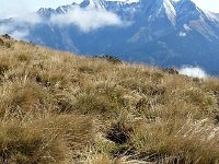 20170915 105335  art