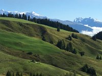 IMG 2109  looking ahead