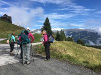 IMG 2146  do we follow all those cows?