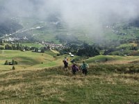 IMG 2299  rather down the pasture