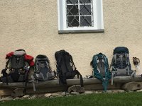 IMG 7999  Constant companions