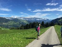IMG 8017  country lane
