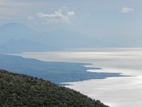 DSCN3890  zoom (old camera)