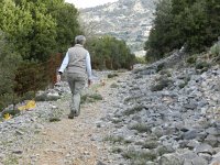 DSCN3915  Morning walk around the plateau with small dog friend