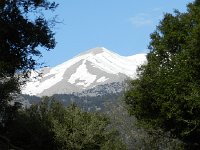 DSCN3918  White Mountains