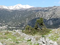 DSCN3919  browsing pressure