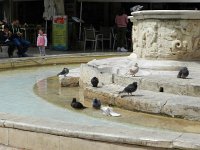 DSCN3931  getting wet