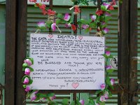 DSCN3760  cats in the Med