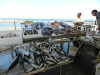 DSCN3773  in the market for fish?