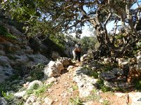 DSCN3795  trail to monastery