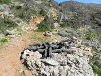 DSCN3796  well hewn from rock