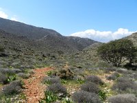 DSCN3798  looking back down trail