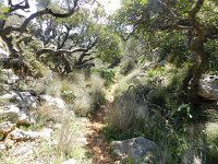 DSCN3803  down a narrow gorge