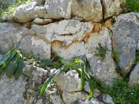 DSCN3806  still life