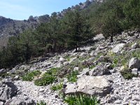 20170408 115001  decent path