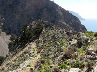 20170408 120832  the trail we came up