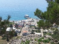20170408 123050  limestone and lilies (?)