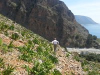 20170408 124134  down to town