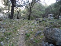 DSCN3838  trail up adjacent canyon
