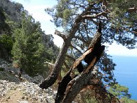 DSCN3853  evidence of fire