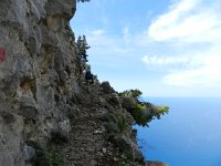 DSCN3855  built for mules probably