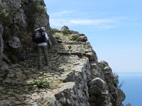 DSCN3863  a veritable pedestrian superhighway